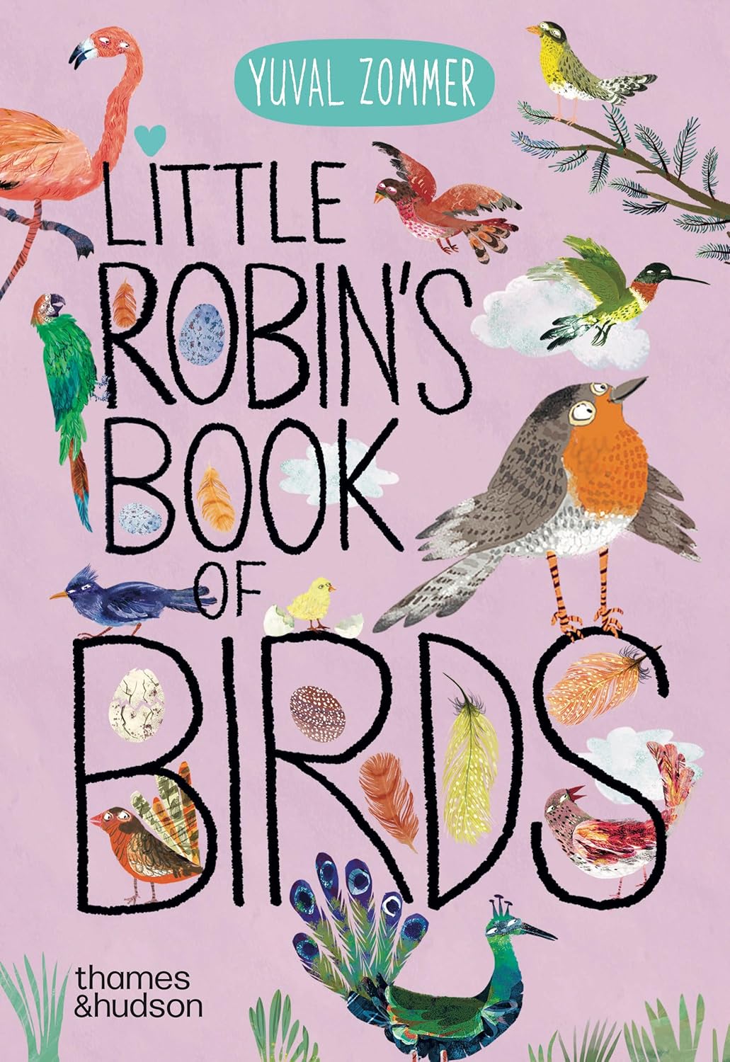 Little Robin's Book of Birds Board Book
