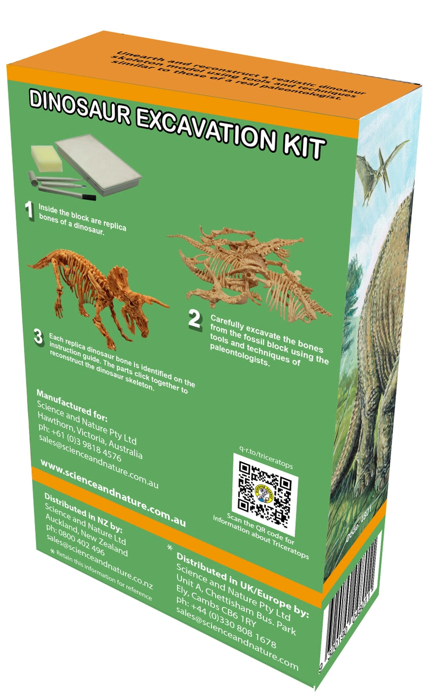 Triceratops Excavation Kit