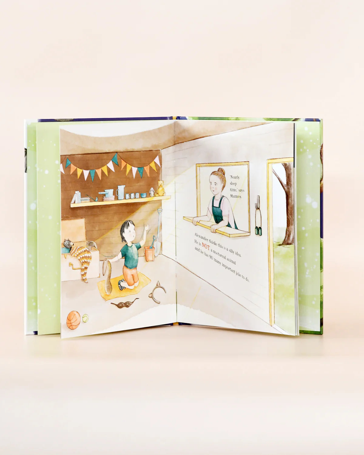 I Am Not An Owl Hard Cover Book