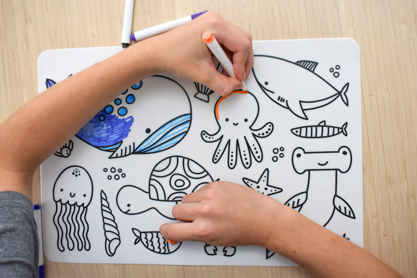 Reusable Silicone Drawing Mat - Sea Animals