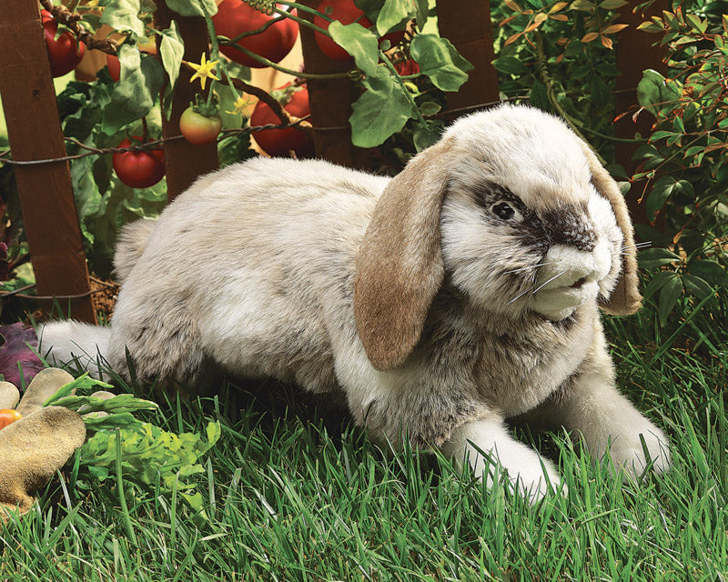 Holland Lop Rabbit Puppet by Folkmanis