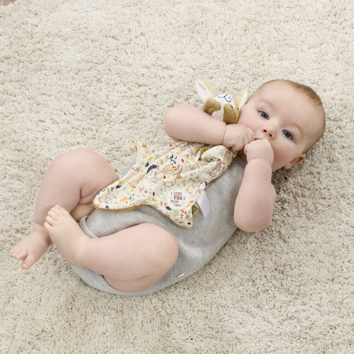 Guess How Much I Love you Nutbrown Hare Snuggle Blanket