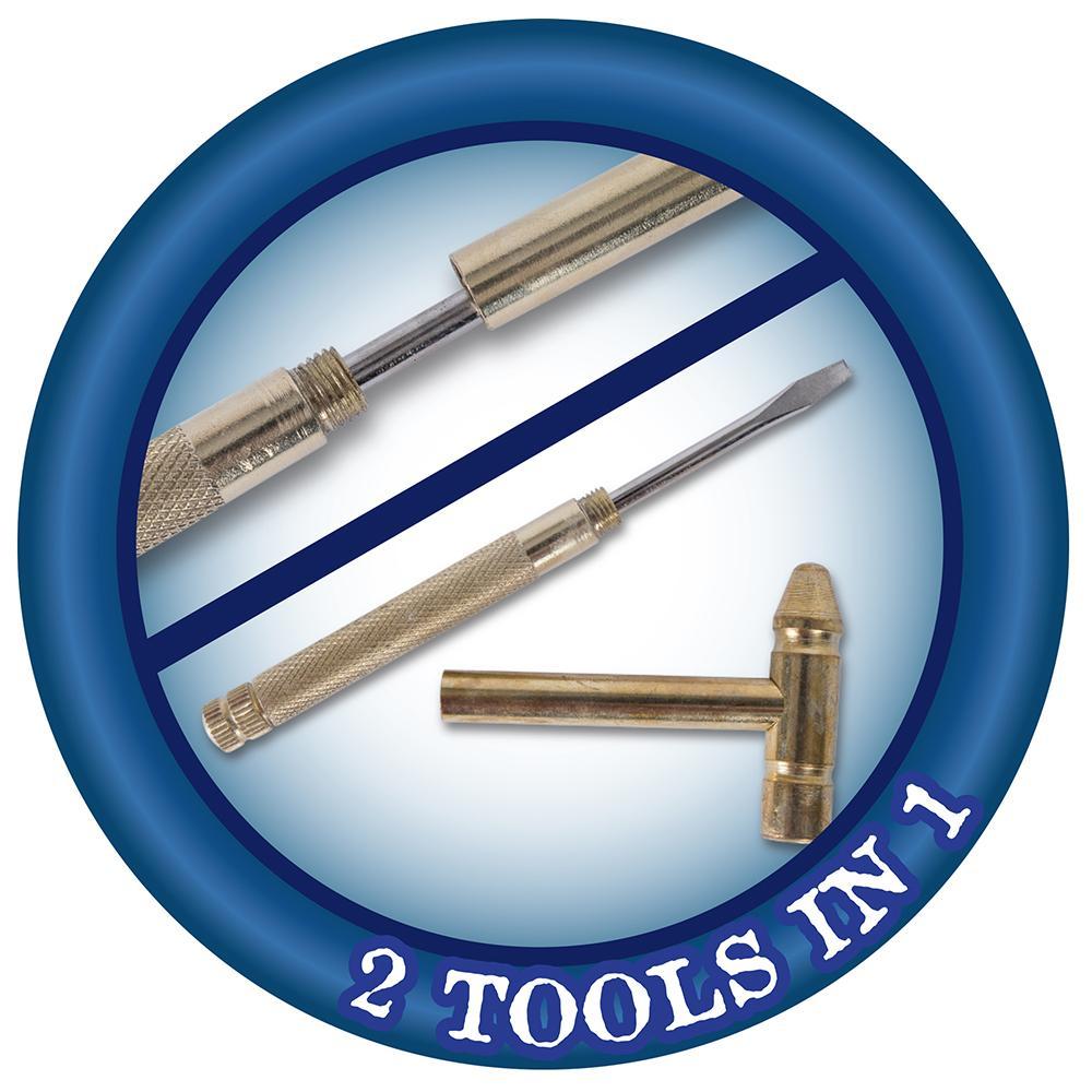 Palaeontology Kit - Stegosaurus