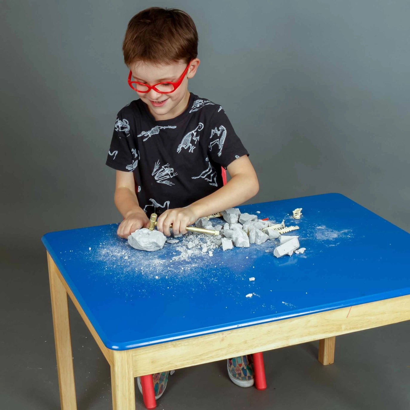 Palaeontology Kit - Triceratops