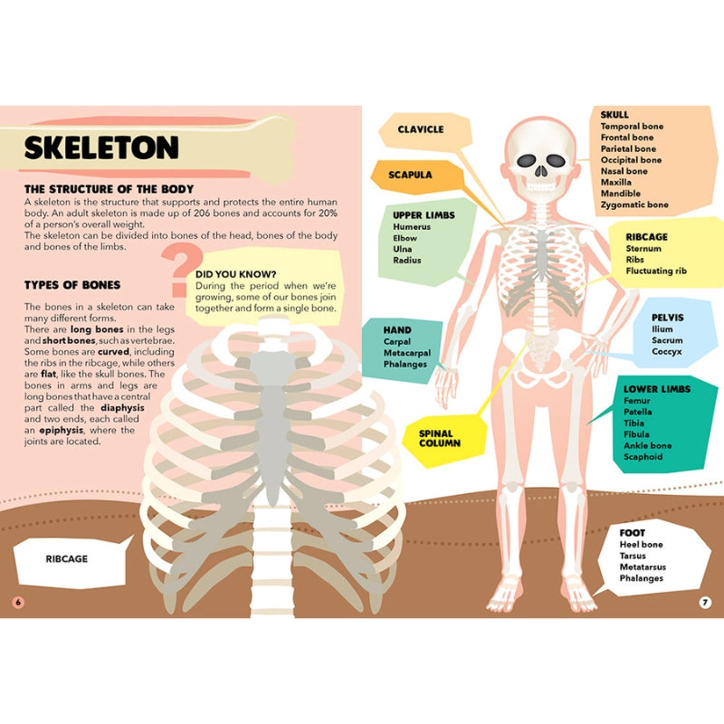 Sassi Travel, Learn and Explore - Puzzle and Book Set - the Human Body, 200 Pcs