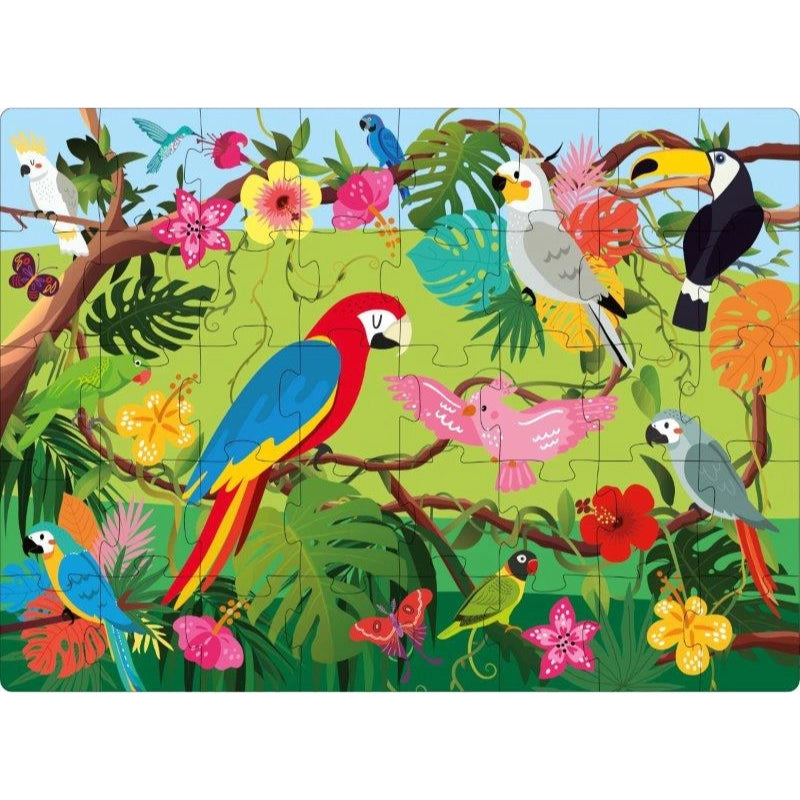 Sassi 3D Puzzle and Book Set - World of Birds, 40 Pcs