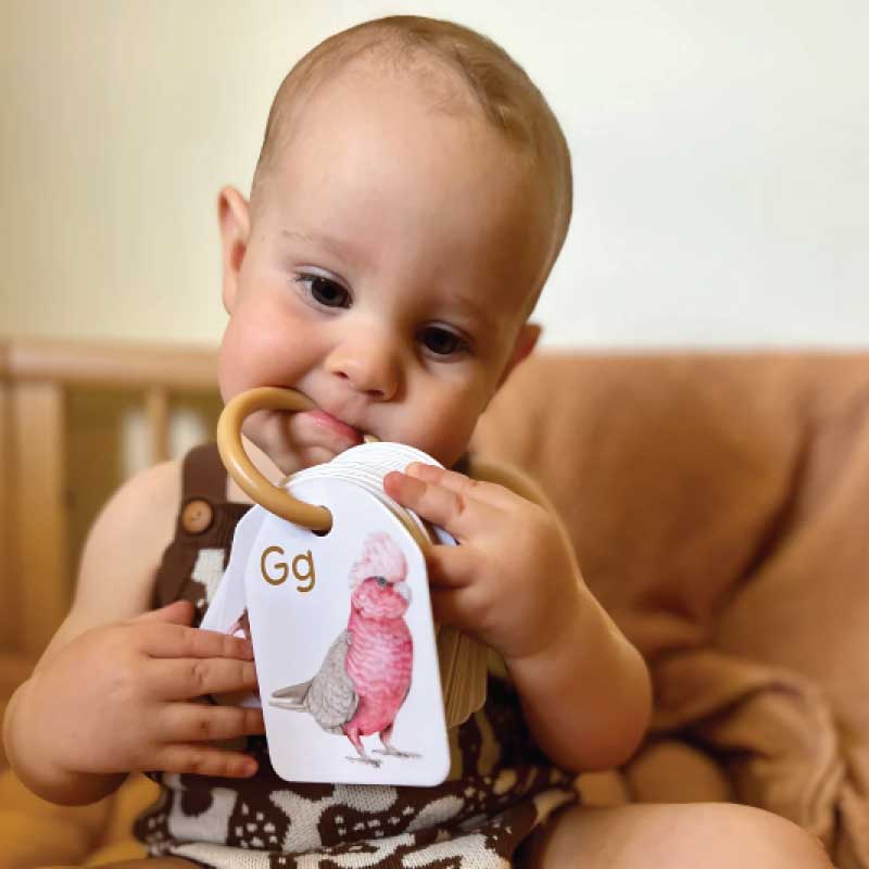 Ringed - Australian Animal Alphabet Flash Cards