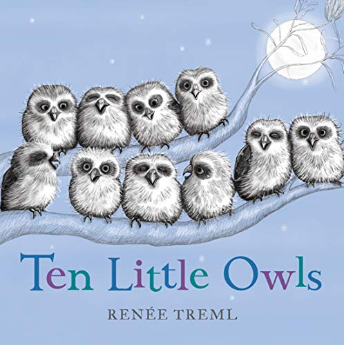 Ten Little Owls by Renee Treml Board Book