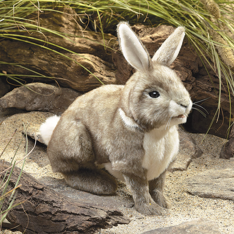 Cottontail Rabbit Hand Puppet by Folkmanis