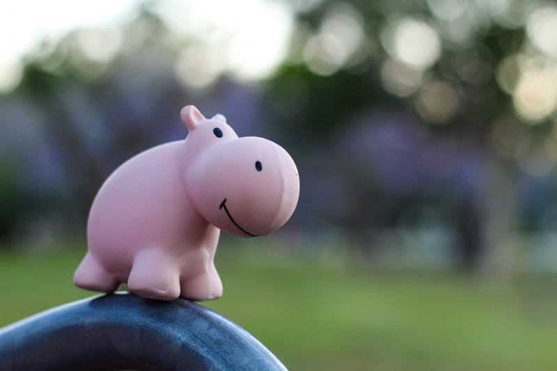 Tikiri Natural Rubber Hippo