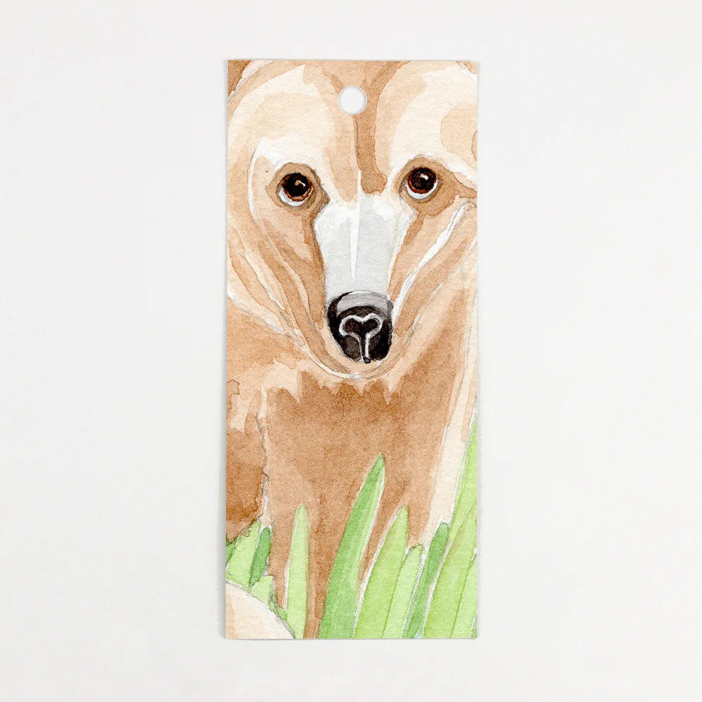 Birthday Card - Number Three Bears