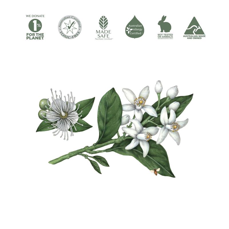 Koala Eco Natural Multi-Purpose Kitchen Cleaner Lemon Myrtle & Mandarin One Litre Refill