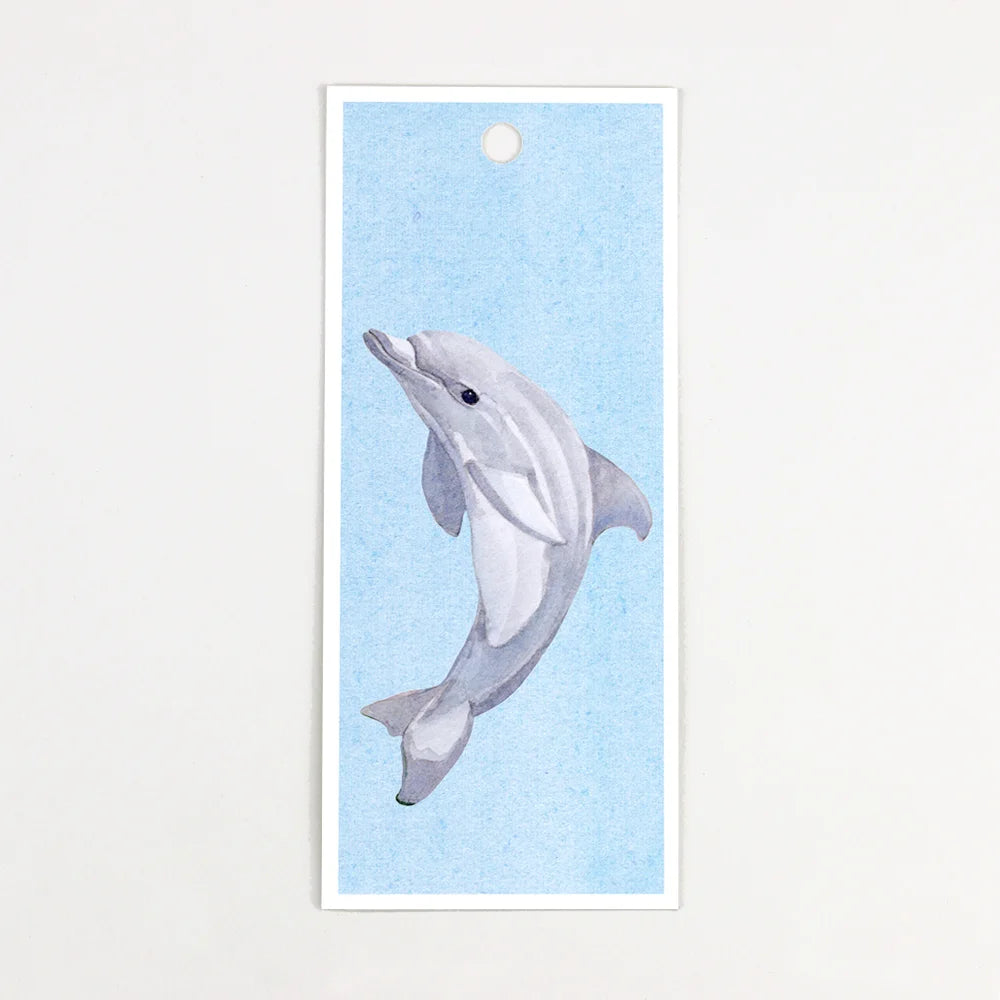 Birthday Card - Number Eight Big Fish