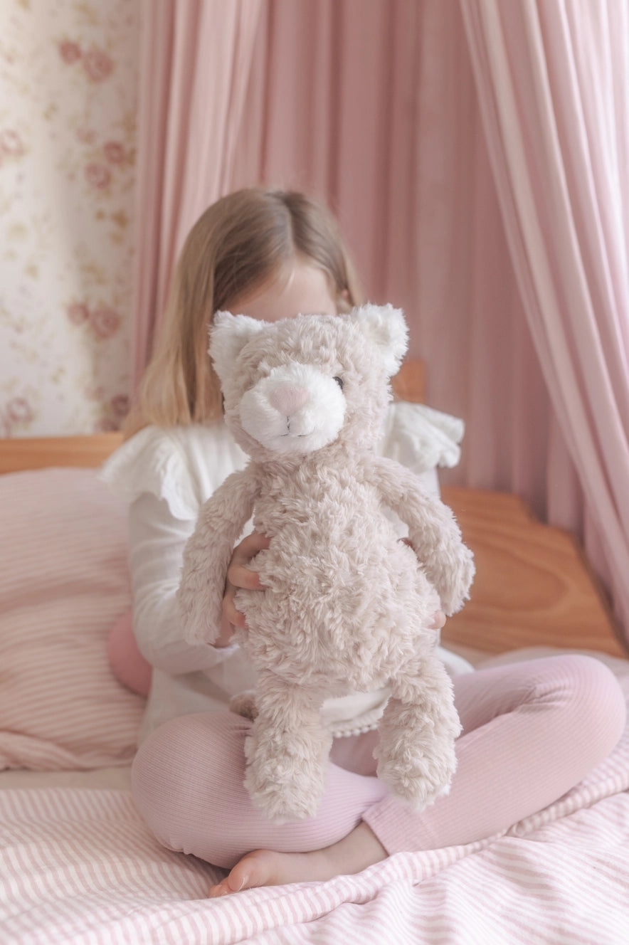 Pickles the Weighted Cat