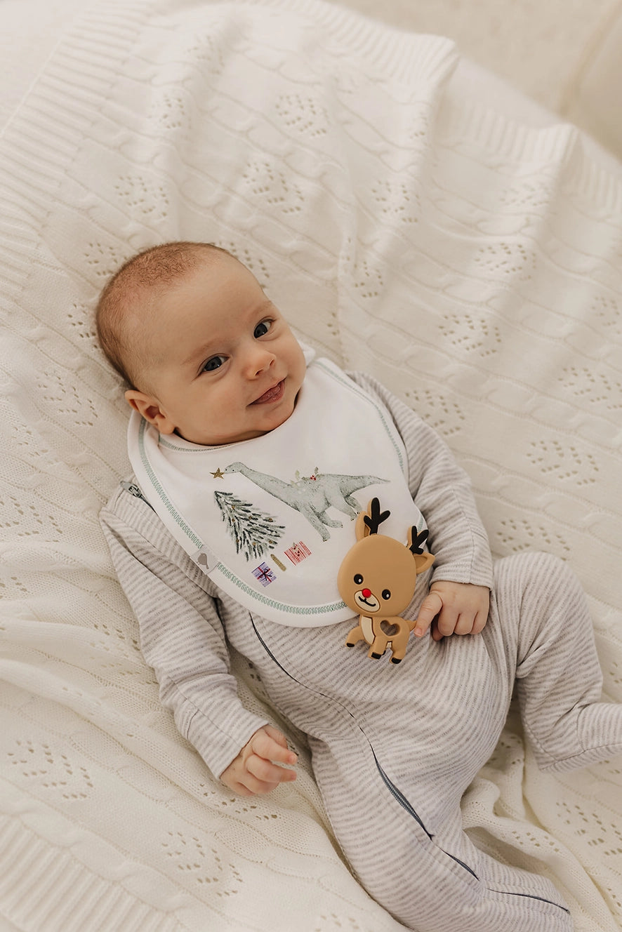 Christmas Dinosaurs Organic Cotton Bib