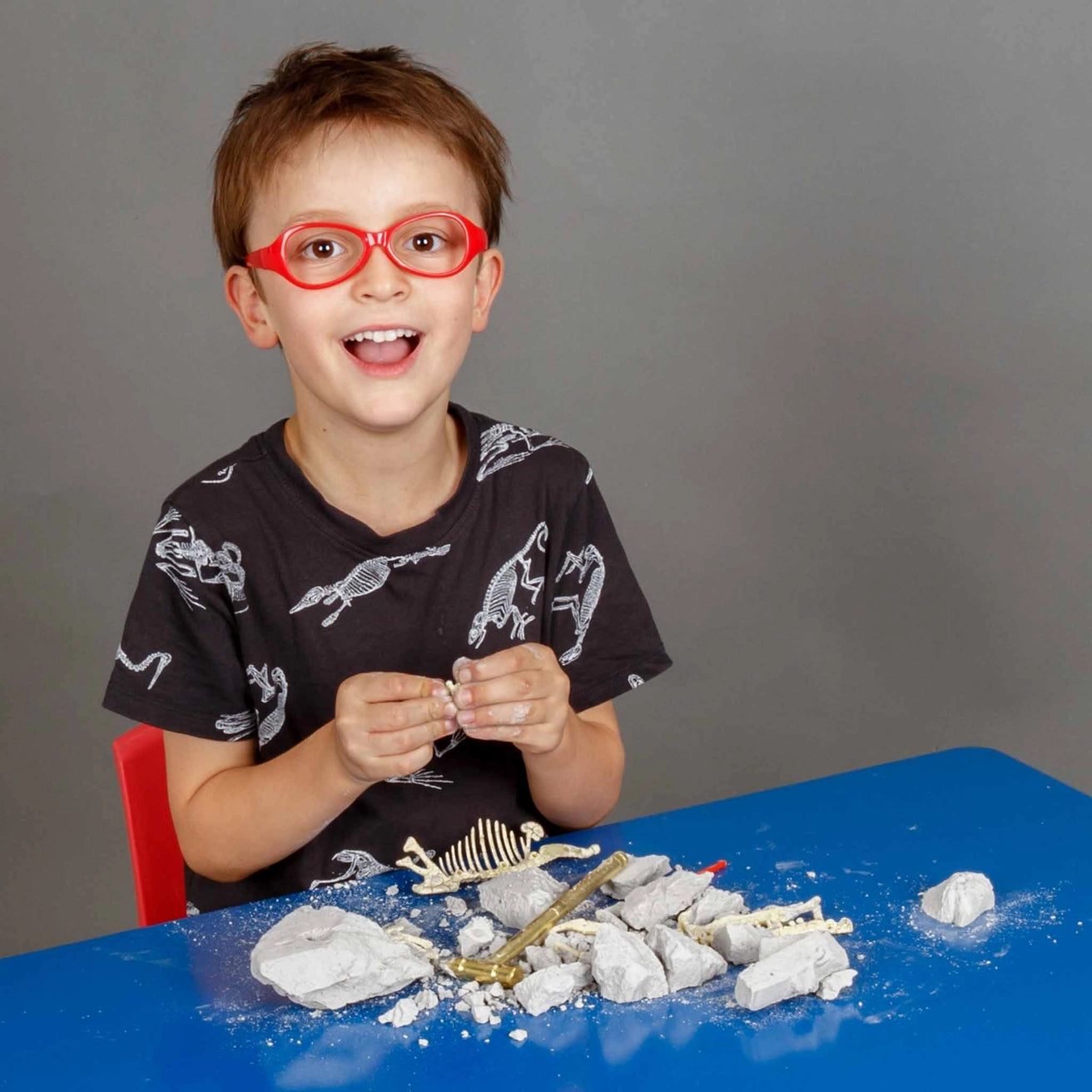 Palaeontology Kit - Stegosaurus