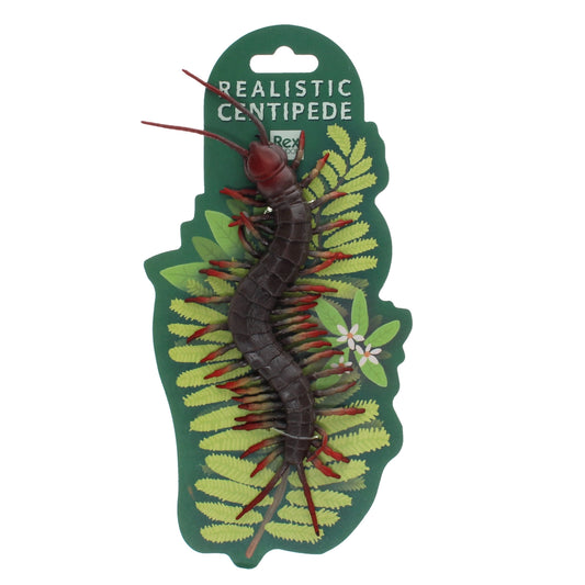 Rex London Realistic Toy - Centipede