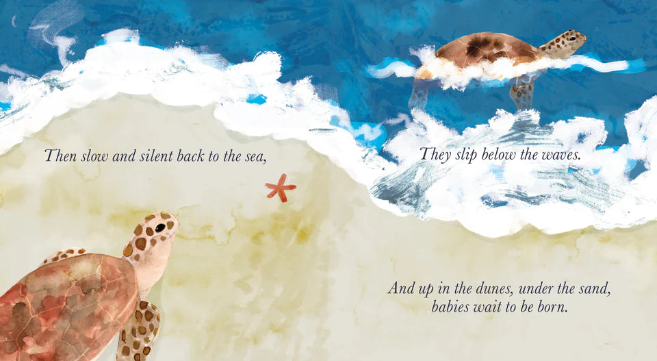 Beside the Sea Hard Cover Book