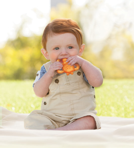 Garden Teething Pals