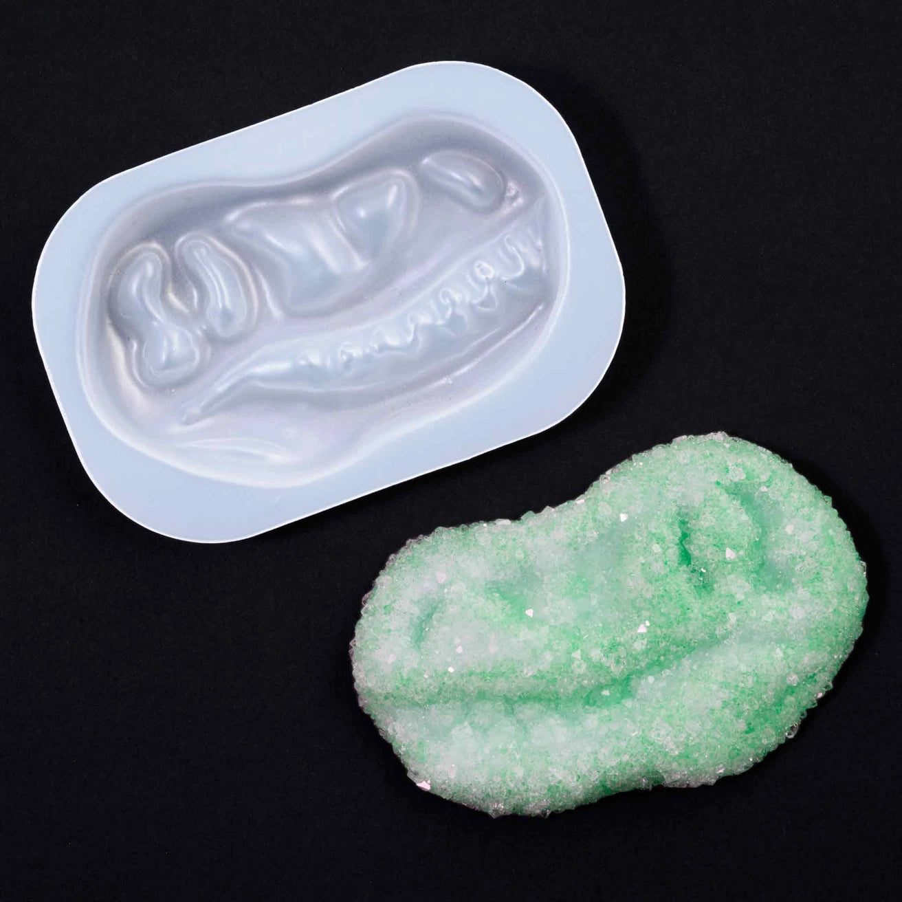 Crystal Grow & Explore Kit