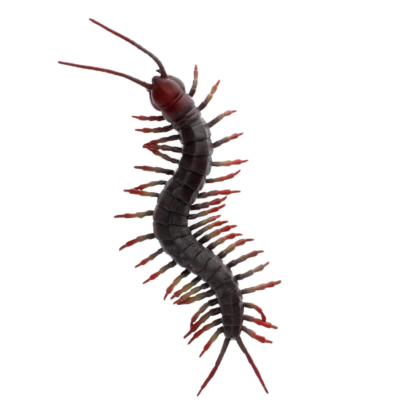 Rex London Realistic Toy - Centipede