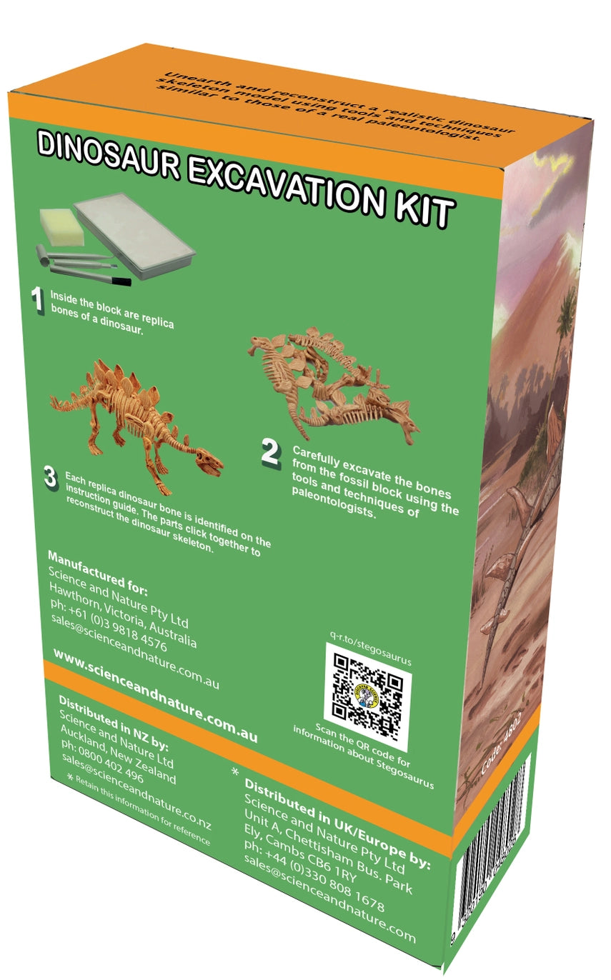 Stegosaurus Excavation Kit