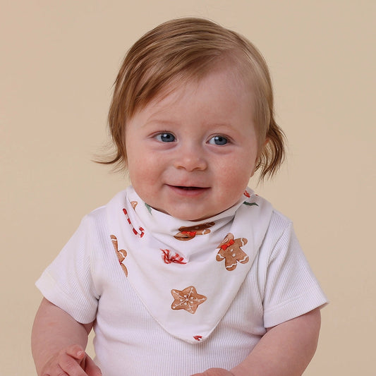 Gingerbread Organic Dribble Bib by Snuggle Hunny