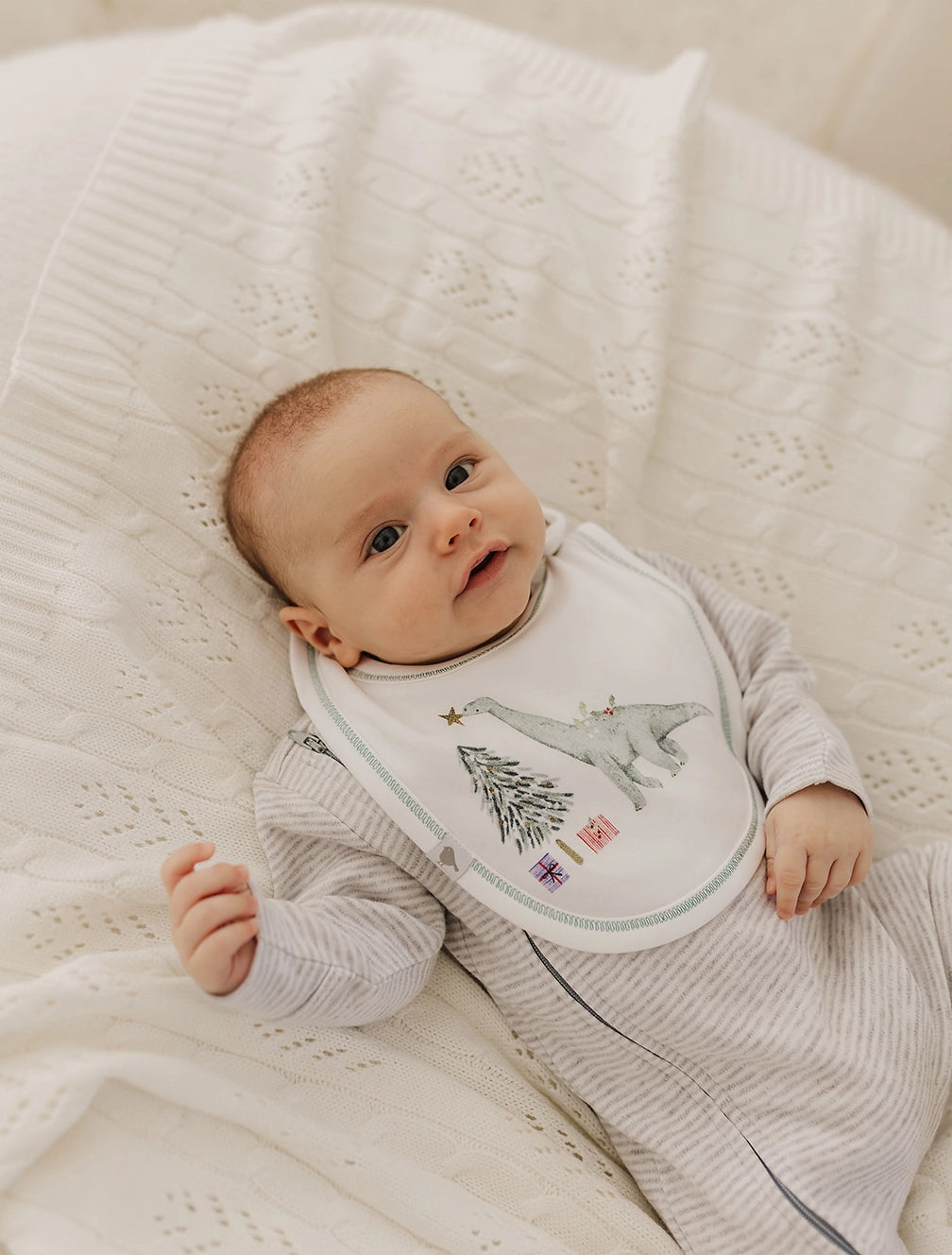 Christmas Dinosaurs Organic Cotton Bib