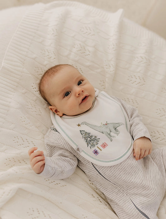 Christmas Dinosaurs Organic Cotton Bib