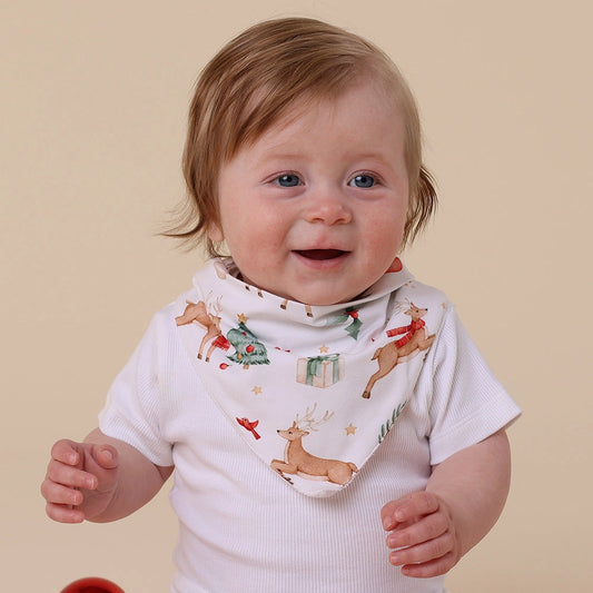 Prancer & Friends Organic Dribble Bib by Snuggle Hunny