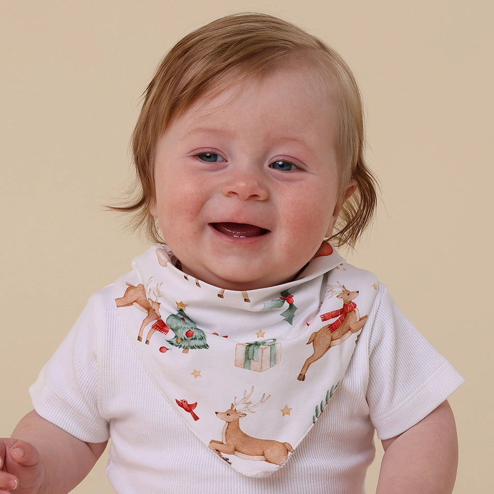 Prancer & Friends Organic Dribble Bib by Snuggle Hunny