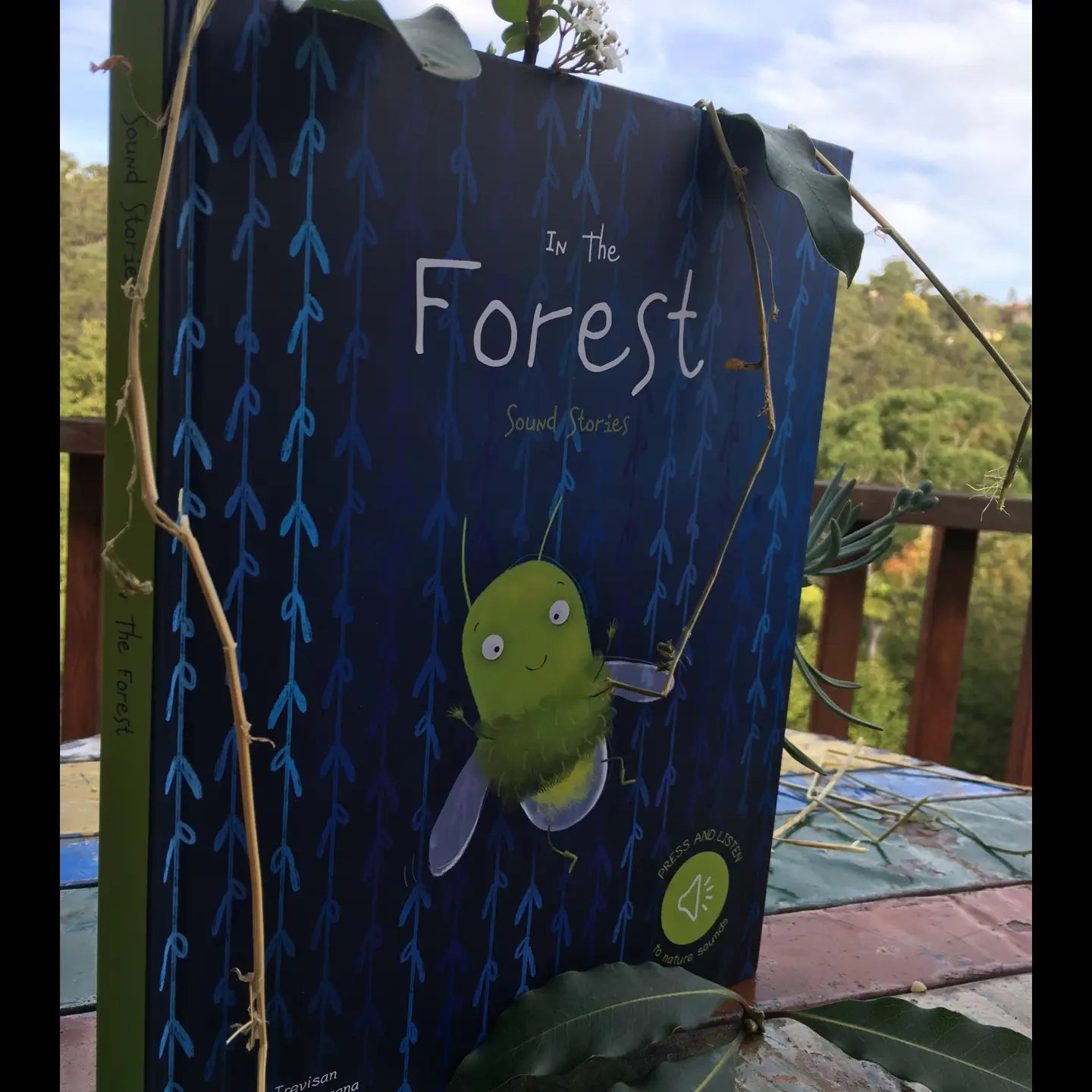 Sassi Sound Book - Into the Forest (Hard Cover)
