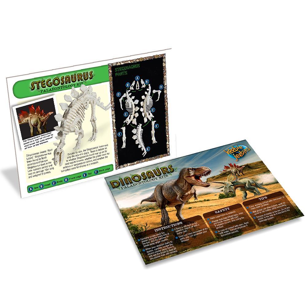 Palaeontology Kit - Stegosaurus