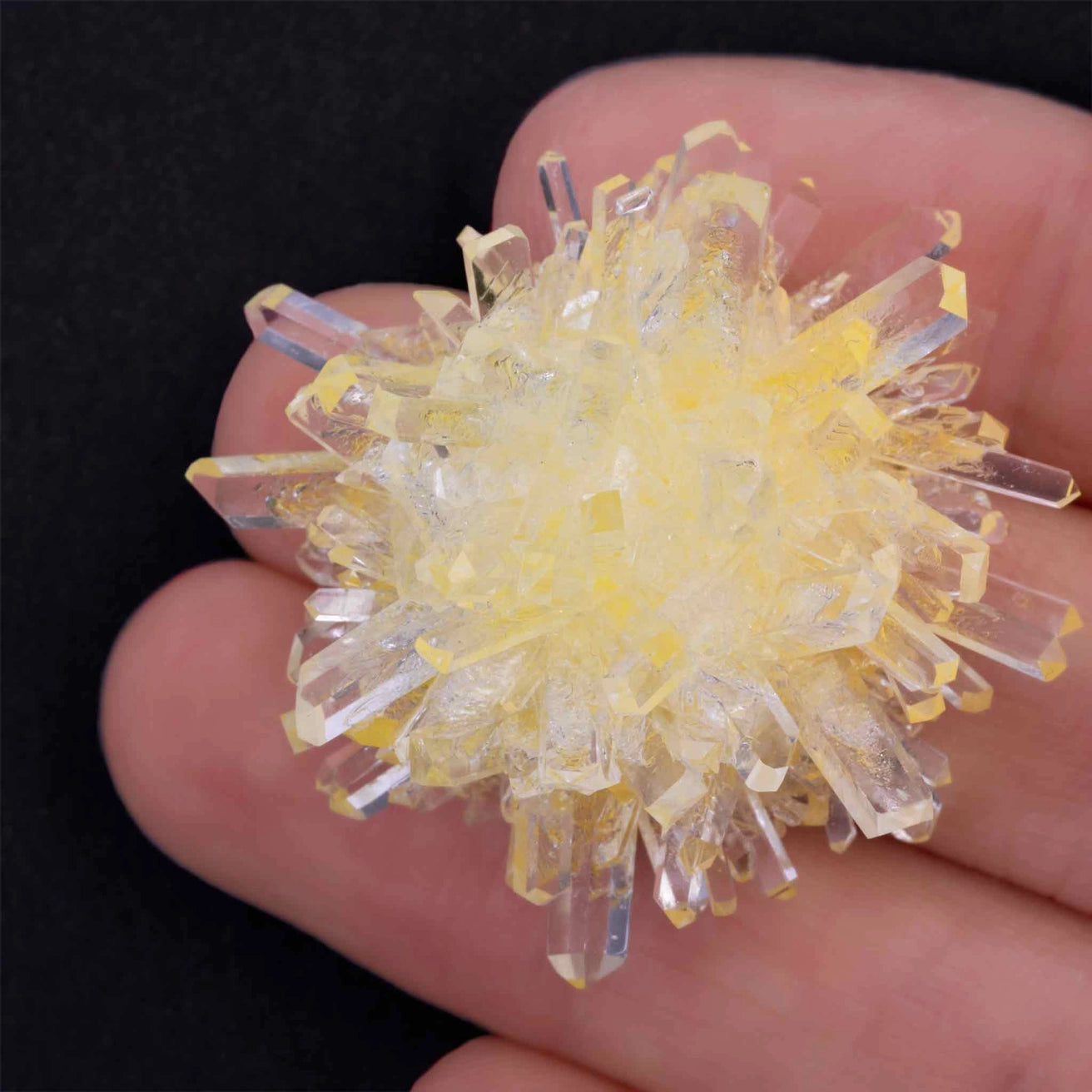 Crystal Grow & Explore Kit