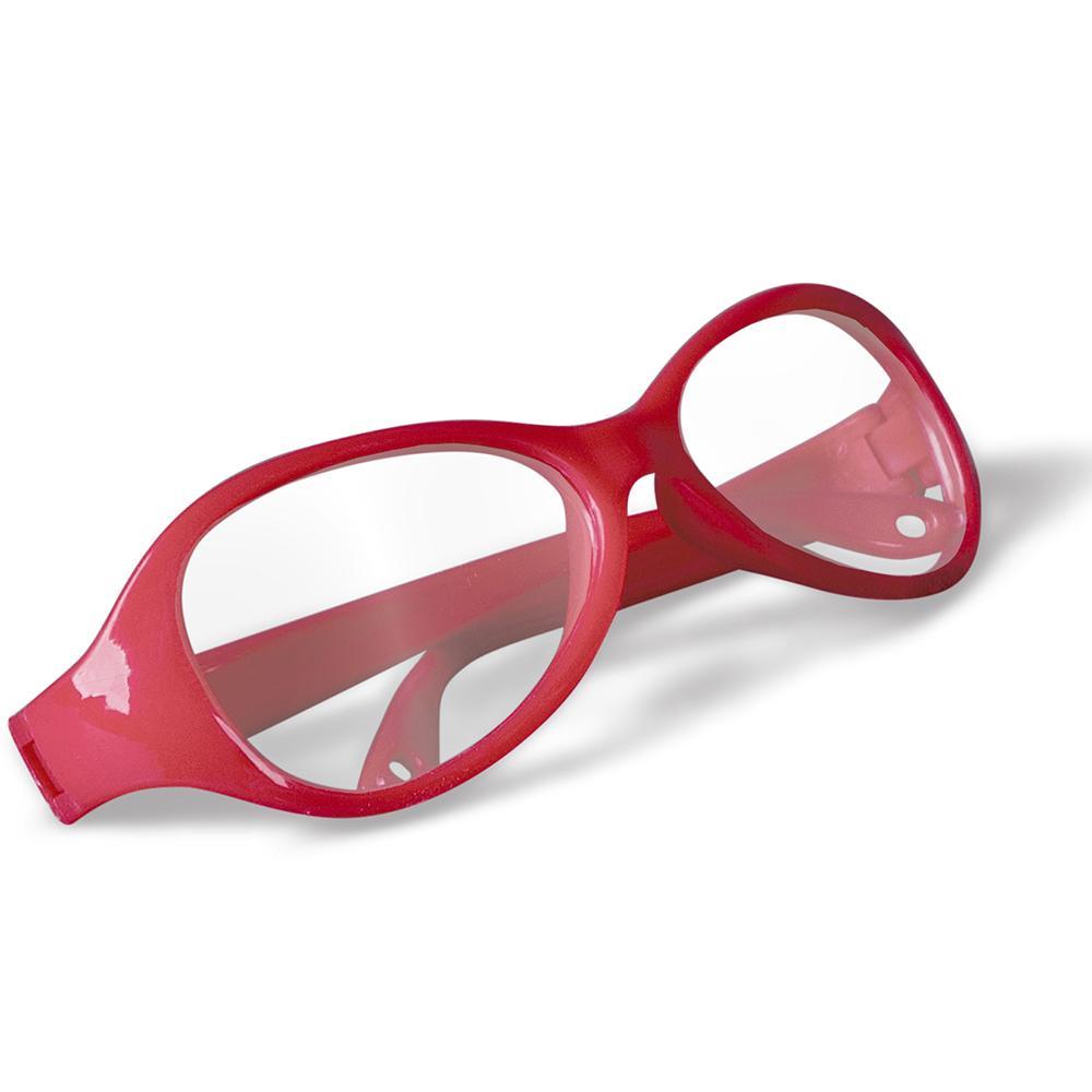 Palaeontology Kit - Triceratops