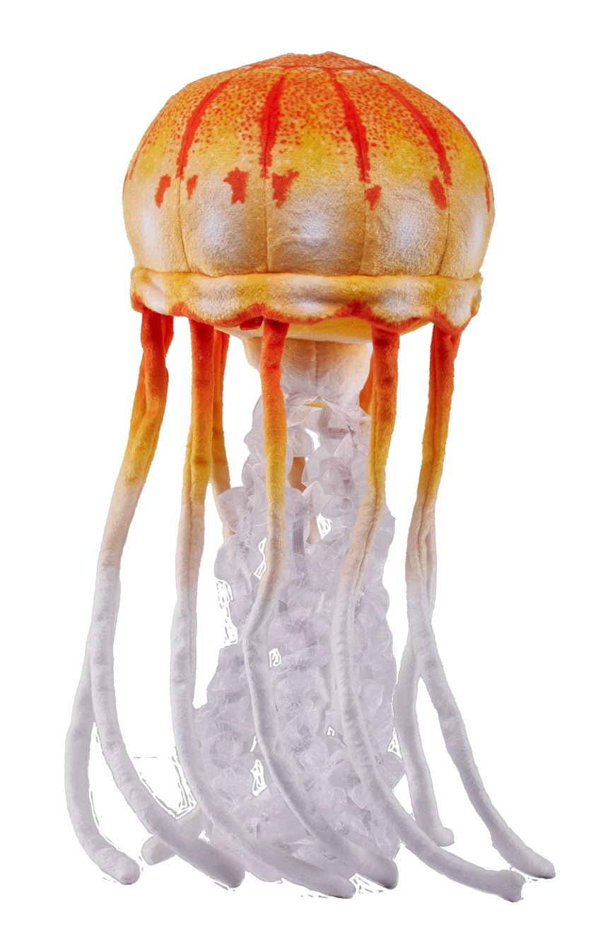 Living Jellyfish