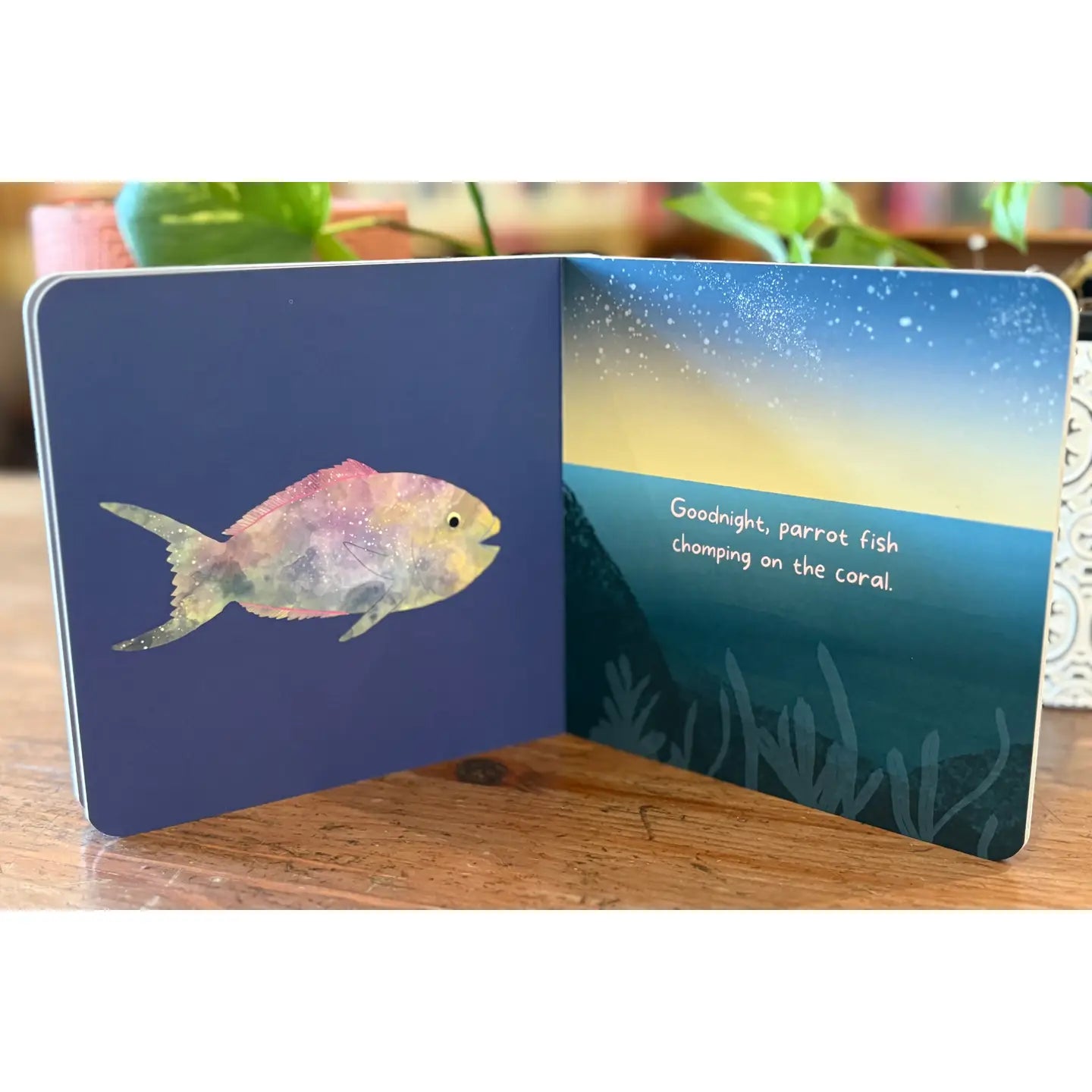 Goodnight, Ocean. Board Book