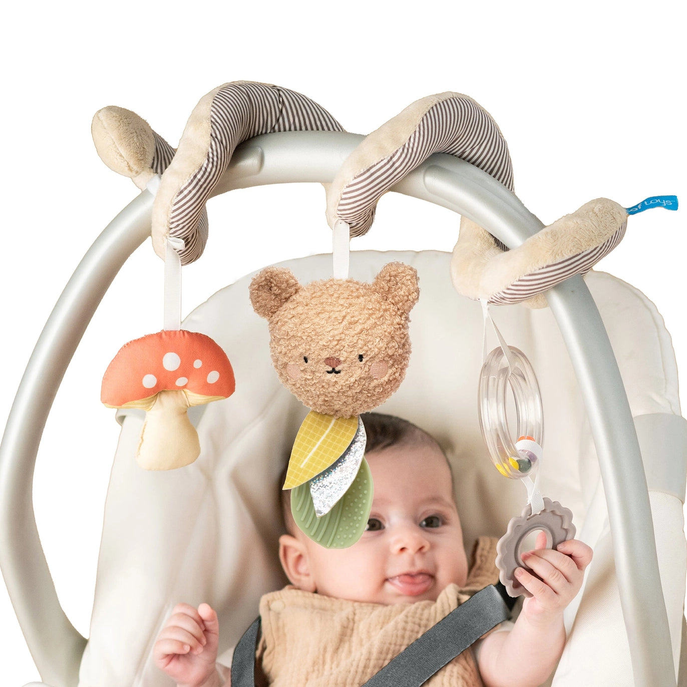 Plush Bear Hugs Spiral