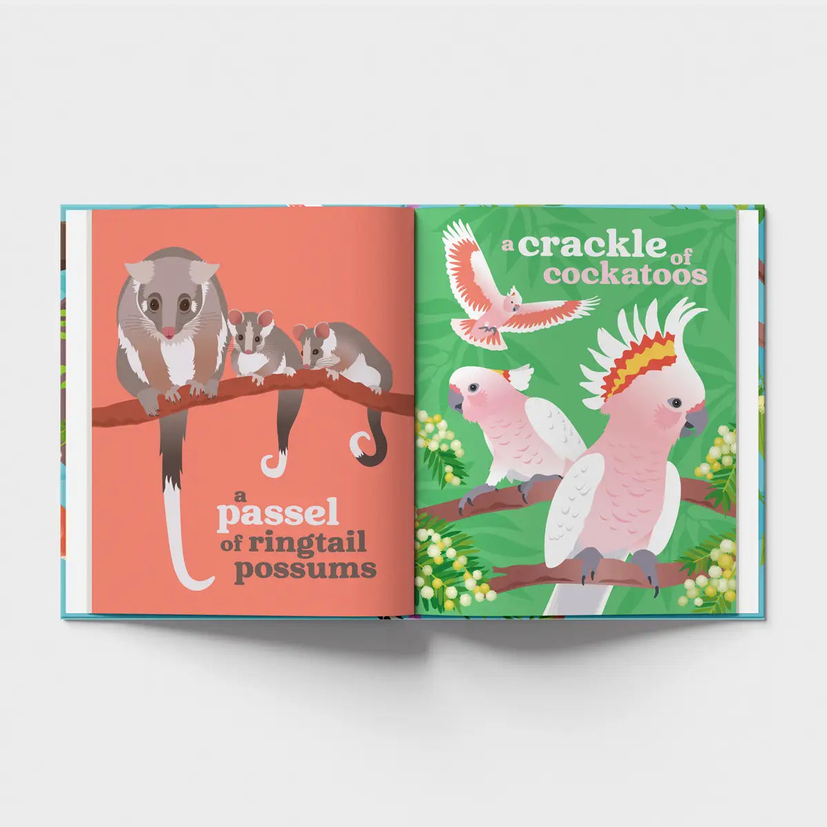 Collective Nouns of Australian Animals Hardcover Book