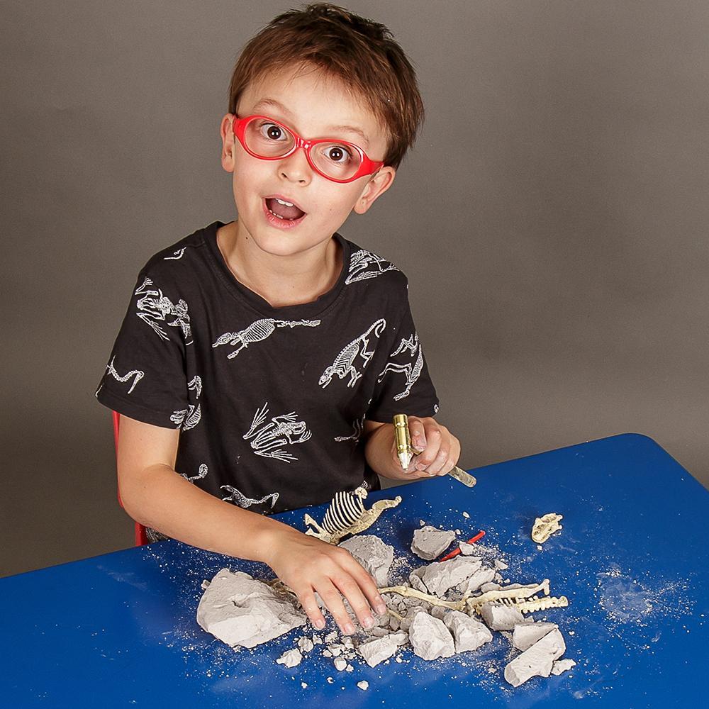 Palaeontology Kit - Triceratops