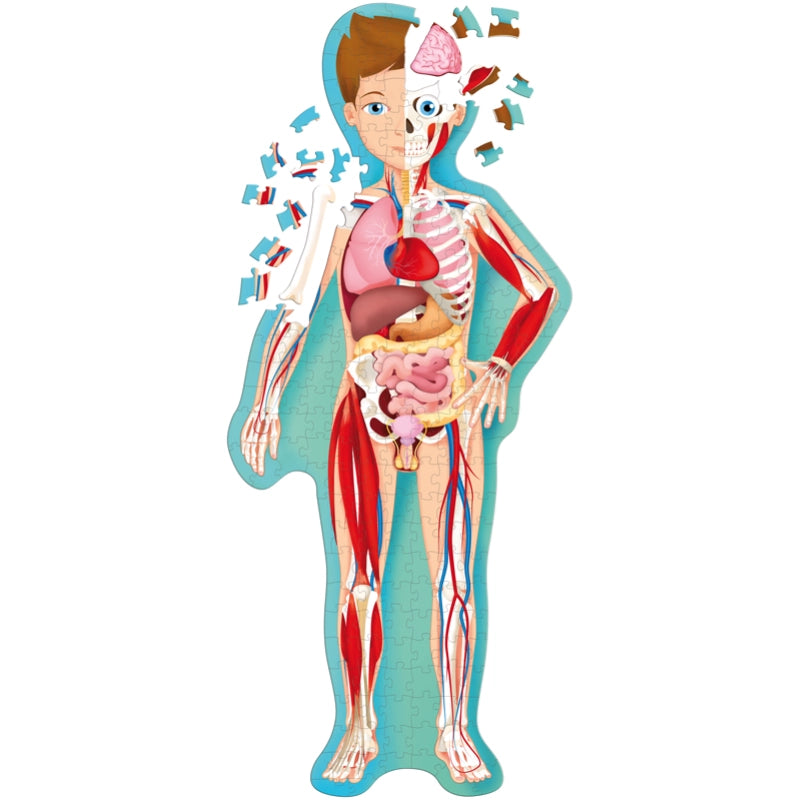 Sassi Travel, Learn and Explore - Puzzle and Book Set - the Human Body, 200 Pcs