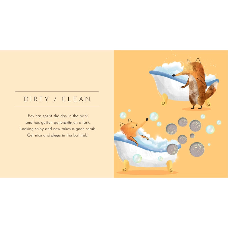 Sassi Touch & Feel Pocket Book - Opposites