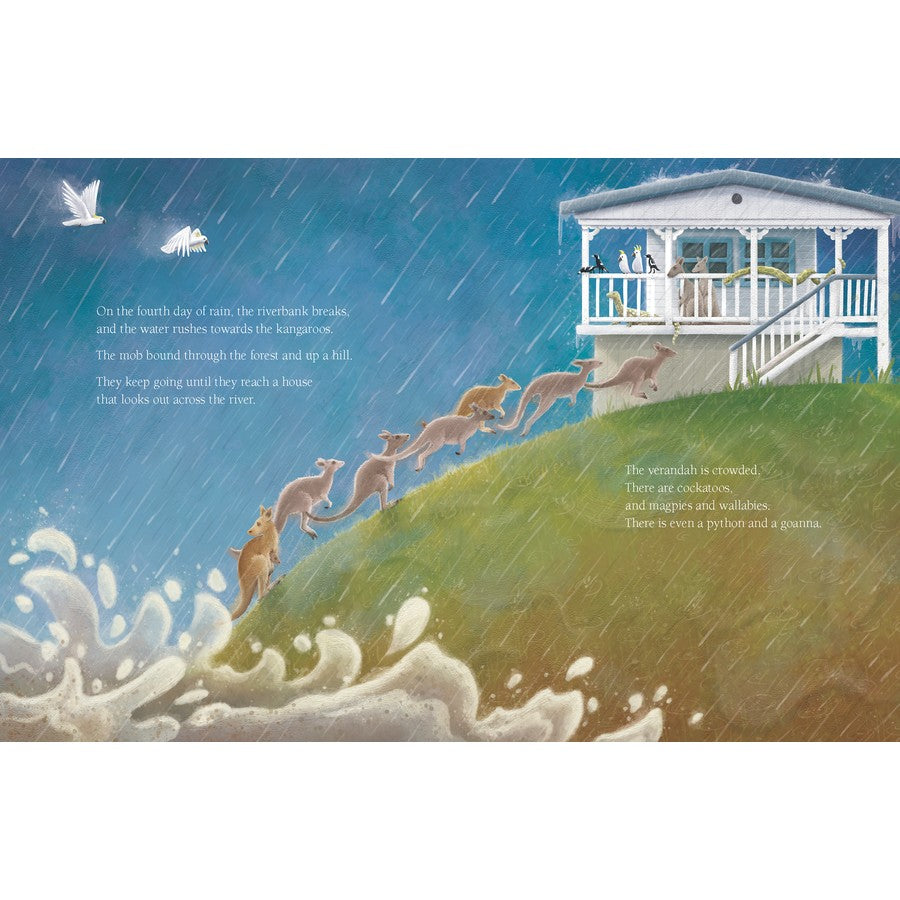 Mango and Hopscotch - The Inspiring Story of a Brave Kangaroo and her Joey Rescued from Floodwaters Hard Cover Book