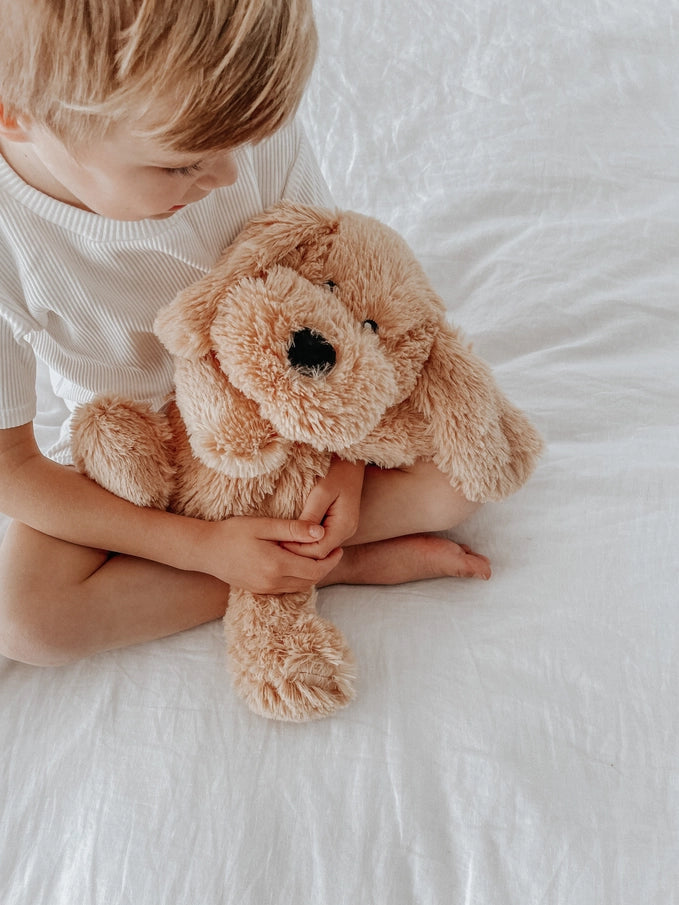 Charlie the Weighted Puppy Dog Toy