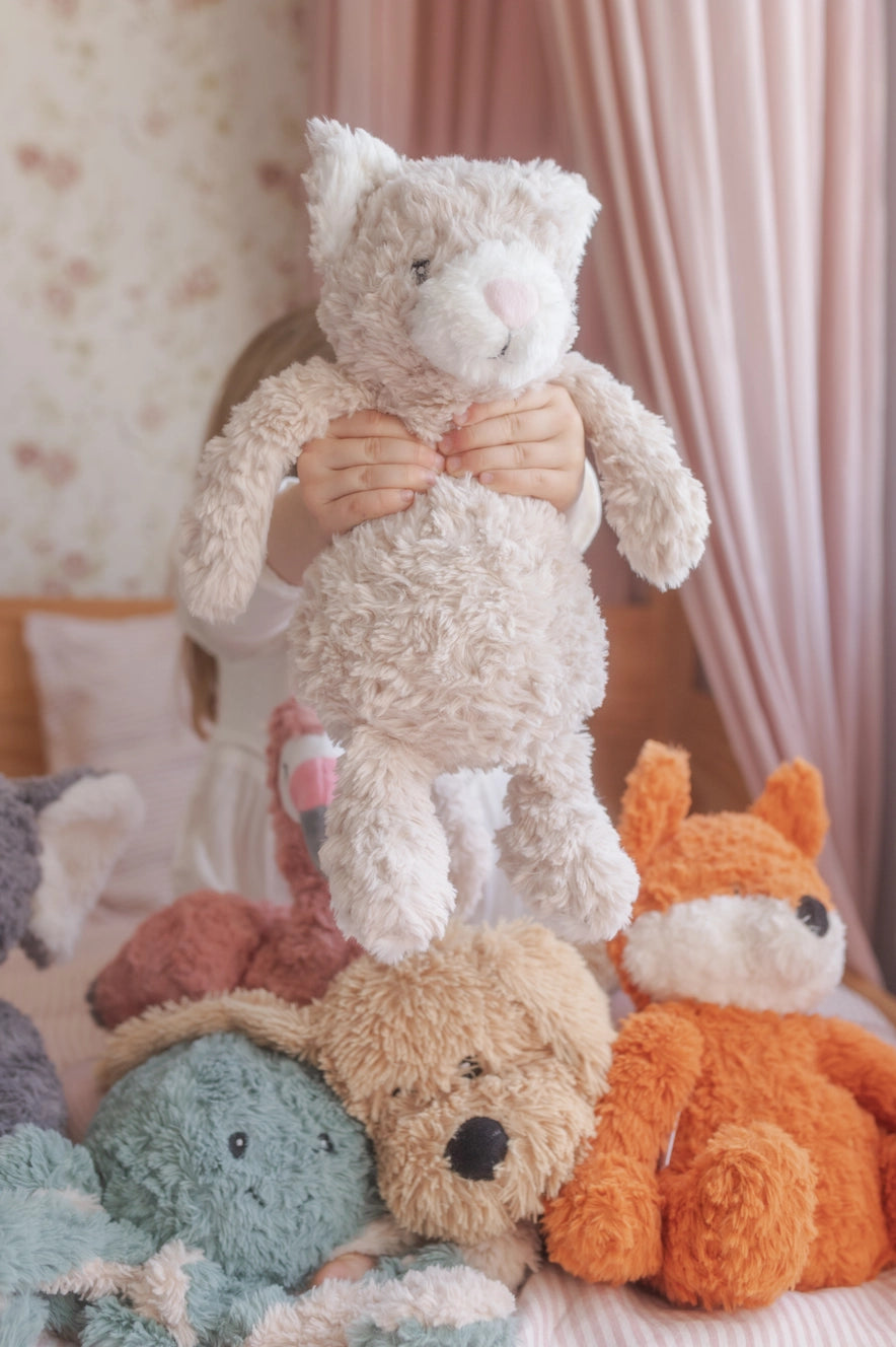 Pickles the Weighted Cat