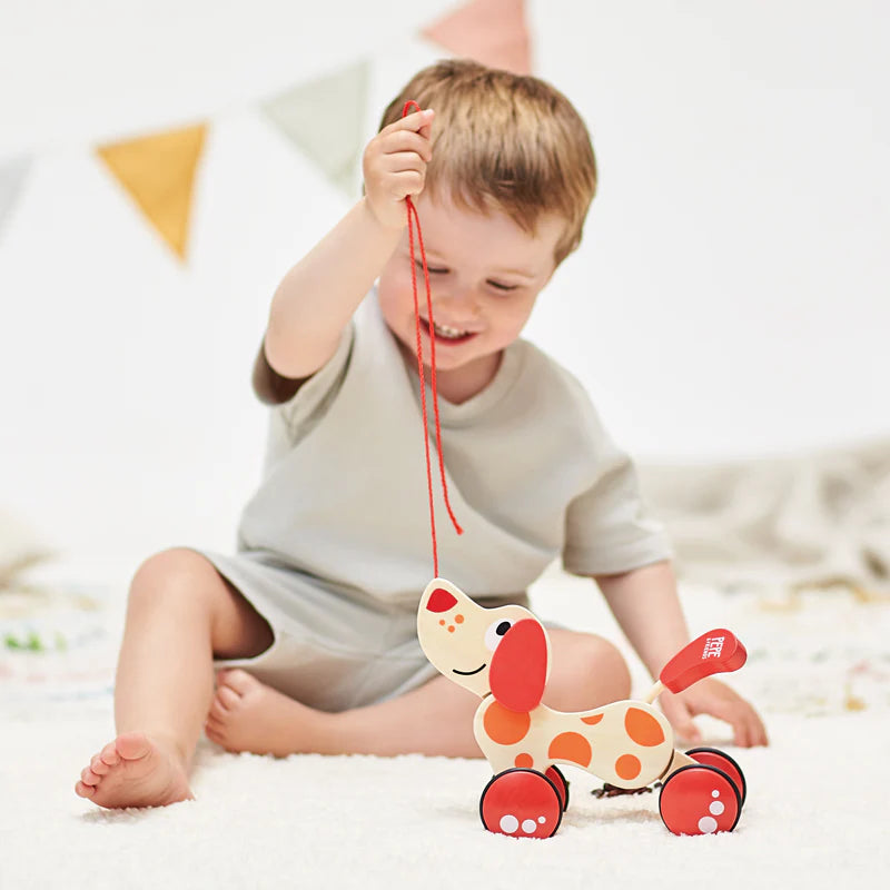 Hape Walk-A-Long Puppy