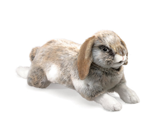 Holland Lop Rabbit Puppet by Folkmanis