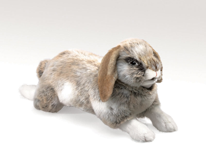 Holland Lop Rabbit Puppet by Folkmanis