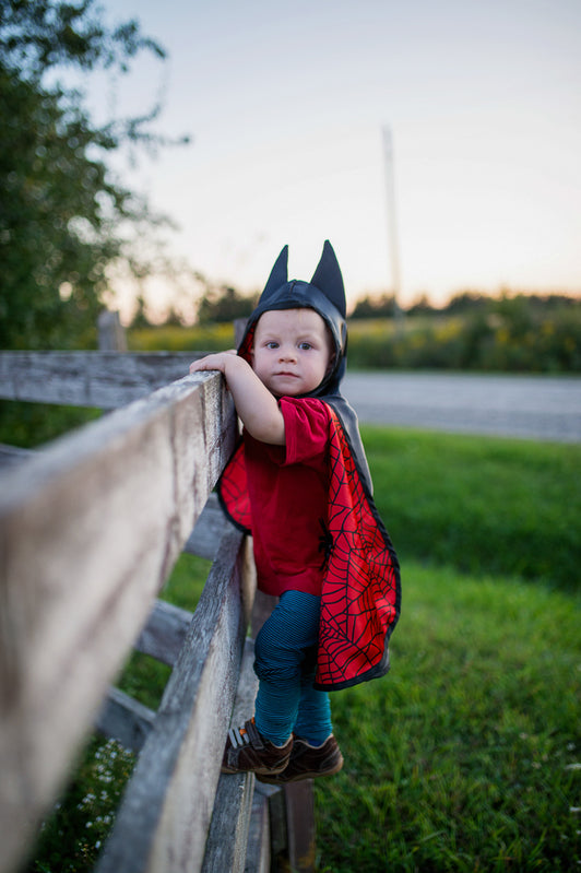 Toddler Reversible Spider & Bat Cape - Size 2-3T