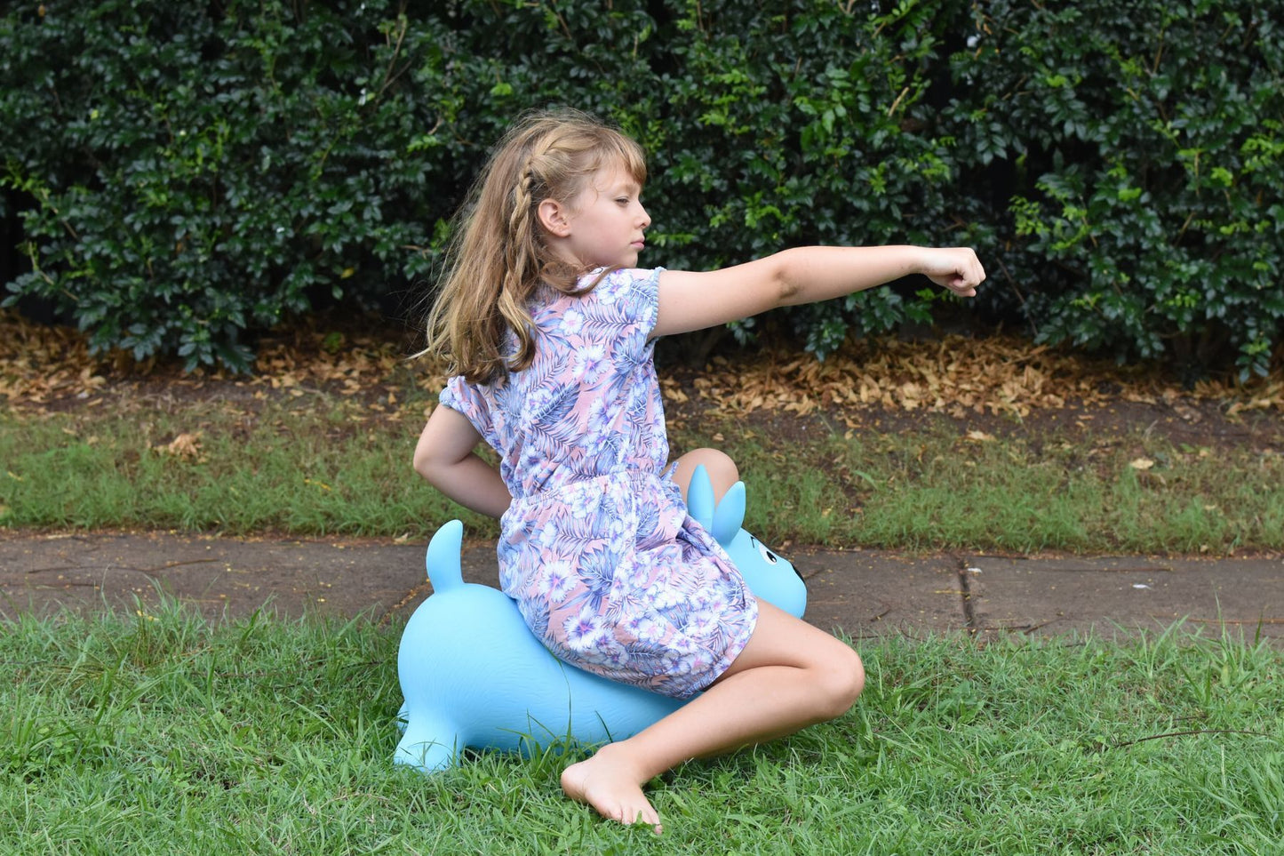 Bouncy Rider Ozzie the Blue Heeler